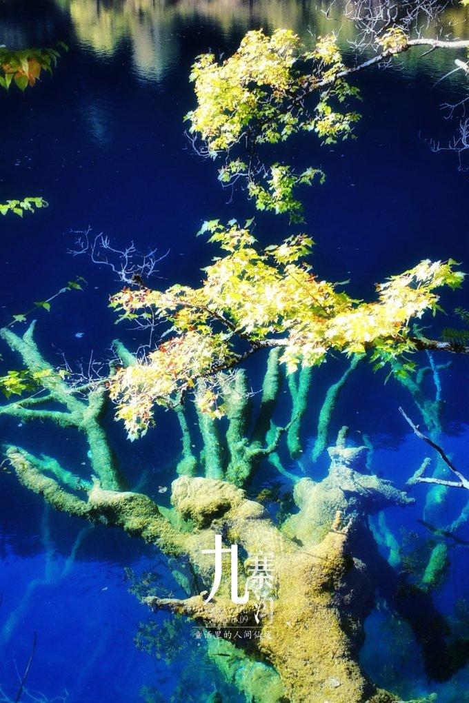 深入了解教师参加比赛的好处?,知识星球平台等你来探索