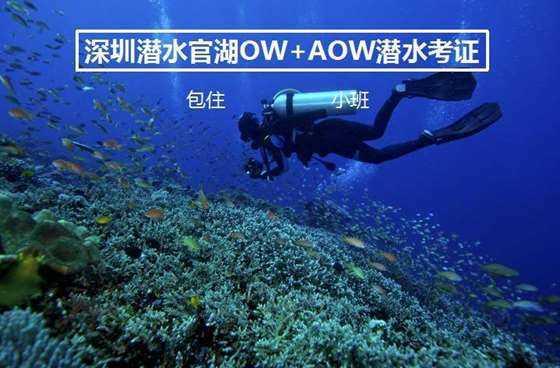 A股首批无退市整理期企业发布，这些企业都有什么共同点？