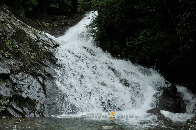 虫虫助手下载